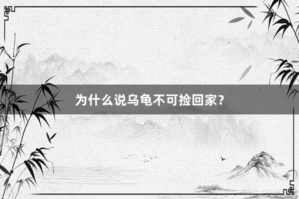 为什么说乌龟不可捡回家？
